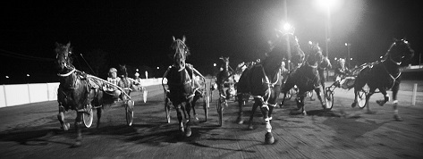 Night Harness Racing